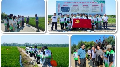 永利3044官网获2024年天津市大中专学生志愿者暑期“三下乡”社会实践活动表彰
